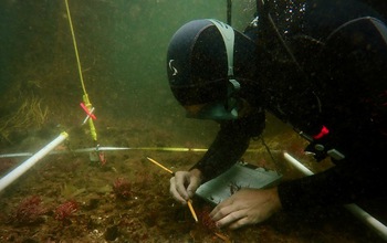 An NSF LTER scientist identifies understory seaweeds in a kelp forest near Isla Vista, California.